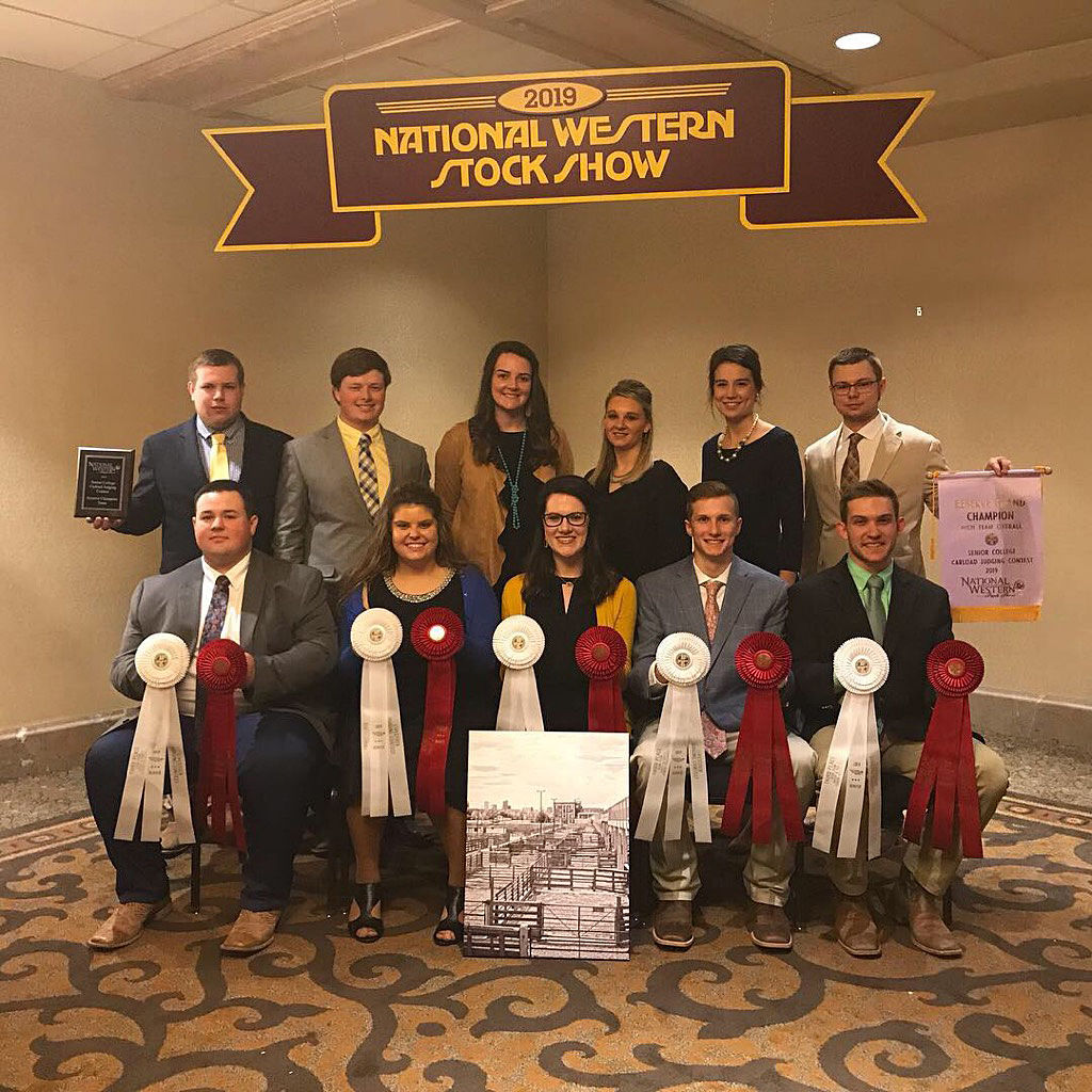 Locals on award-winning UT Livestock Judging Team